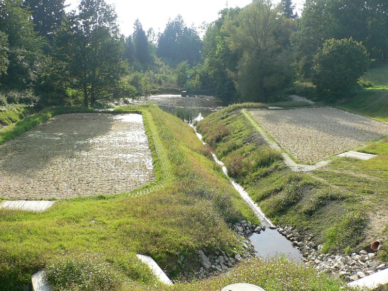 Kořenová čistička