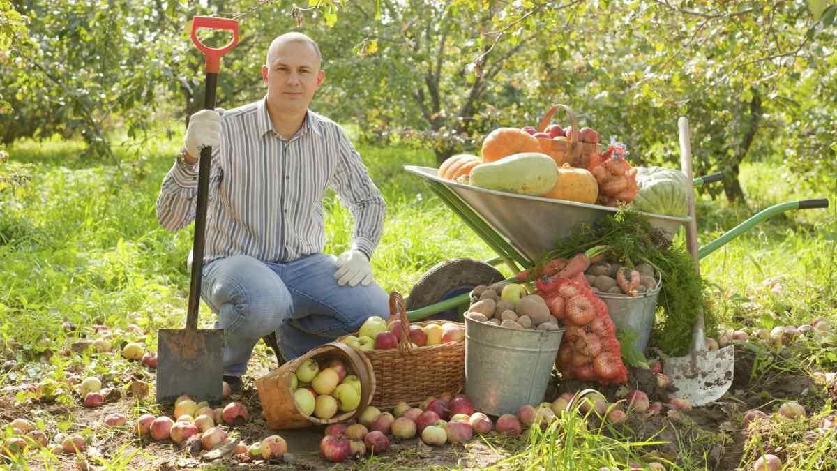 Září – na co nezapomenout při práci na zahradě